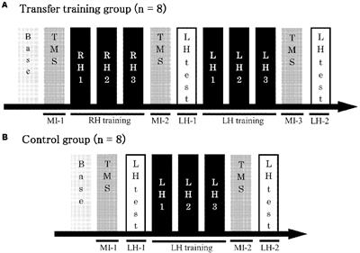 Neurophysiological Analysis of Intermanual Transfer in Motor Learning